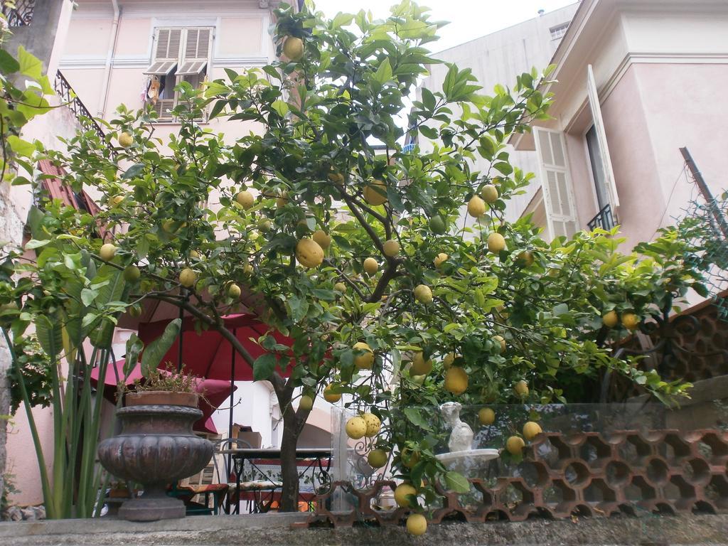 Villa Saphir Ница Екстериор снимка